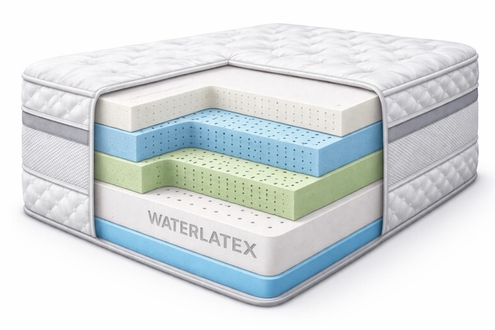 ������������ ������������ ������